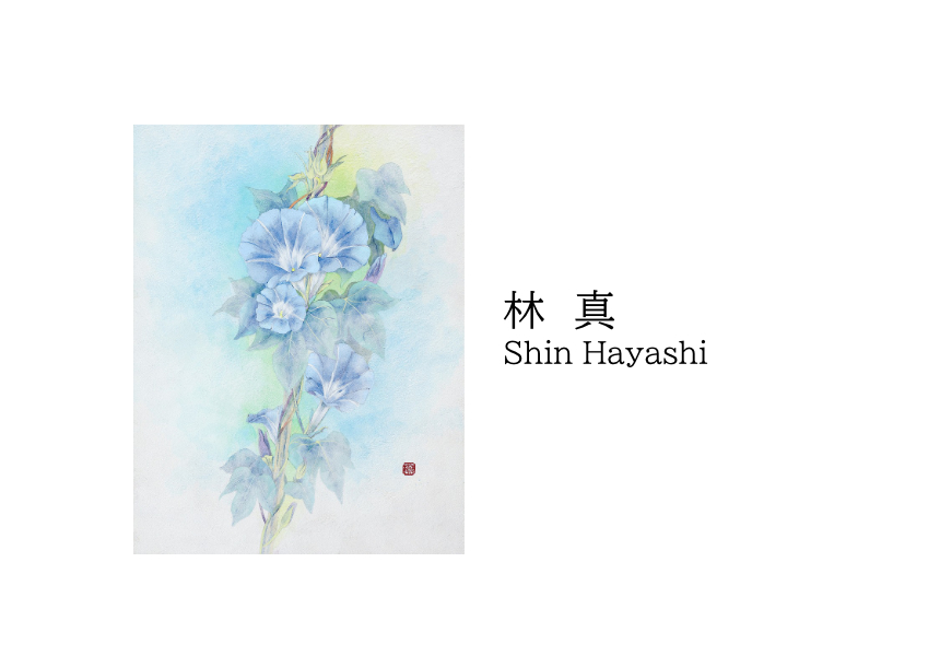 林 真 / Shin Hayashi | 株式会社たづアート