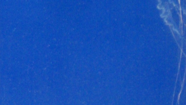 「映月夜」WSM 「映月夜」WSM