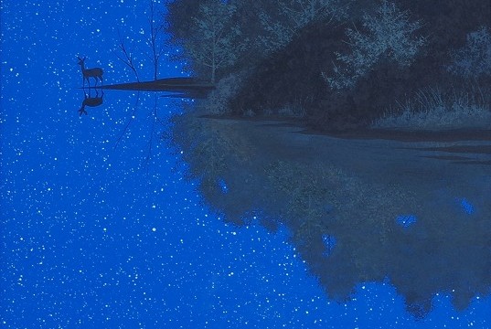 「星夜」8号 「星夜」8号